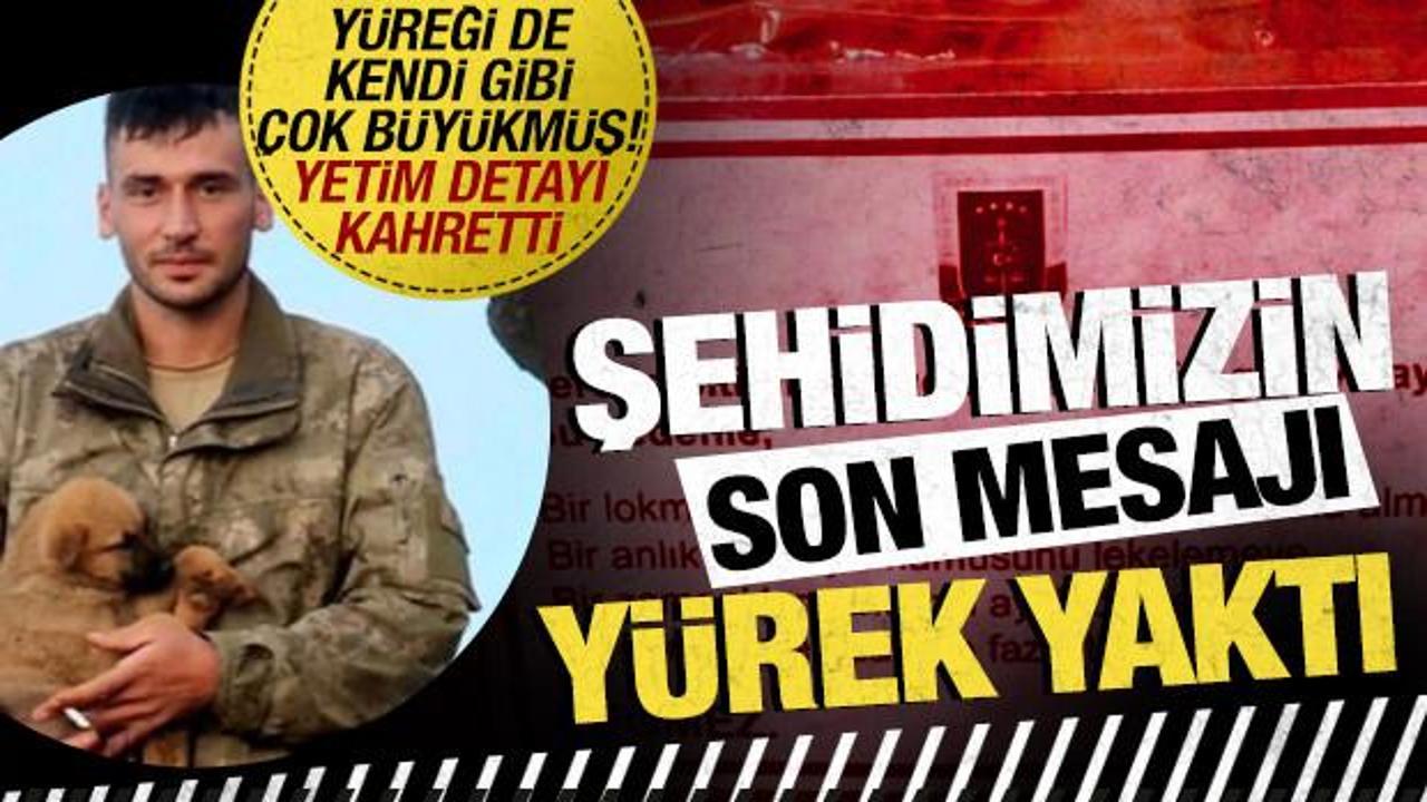 Şehidimizin son mesajı yürek yaktı: Yetim de bakıyormuş