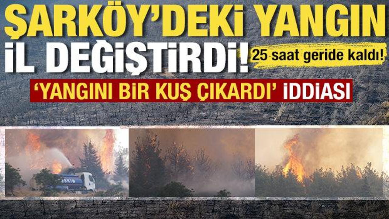 25. saate girildi: Tekirdağ'daki yangın geniş alana yayıldı! Müdahale sürüyor
