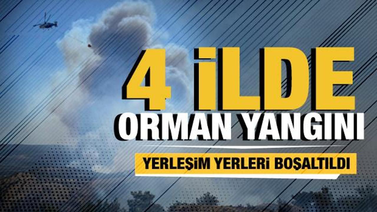 Bursa, Çanakkale, Tekirdağ, Manisa... Ormanlar alev alev yanıyor!
