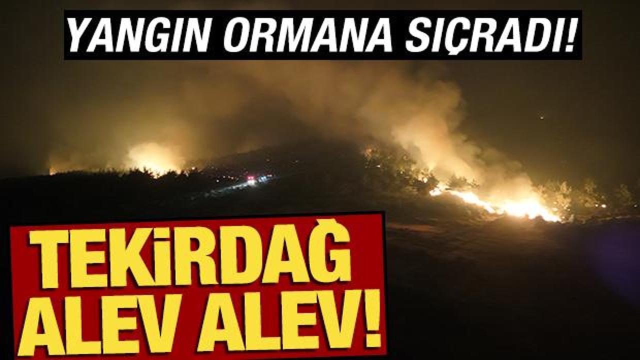 Tekirdağ alev alev! Yangın ormana sıçradı, bir mahalle daha boşaltıldı