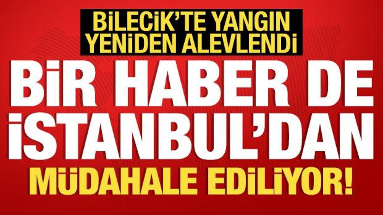Bilecik'te yangın yeniden alevlendi! Bir haber de İstanbul'dan: Müdahale ediliyor!