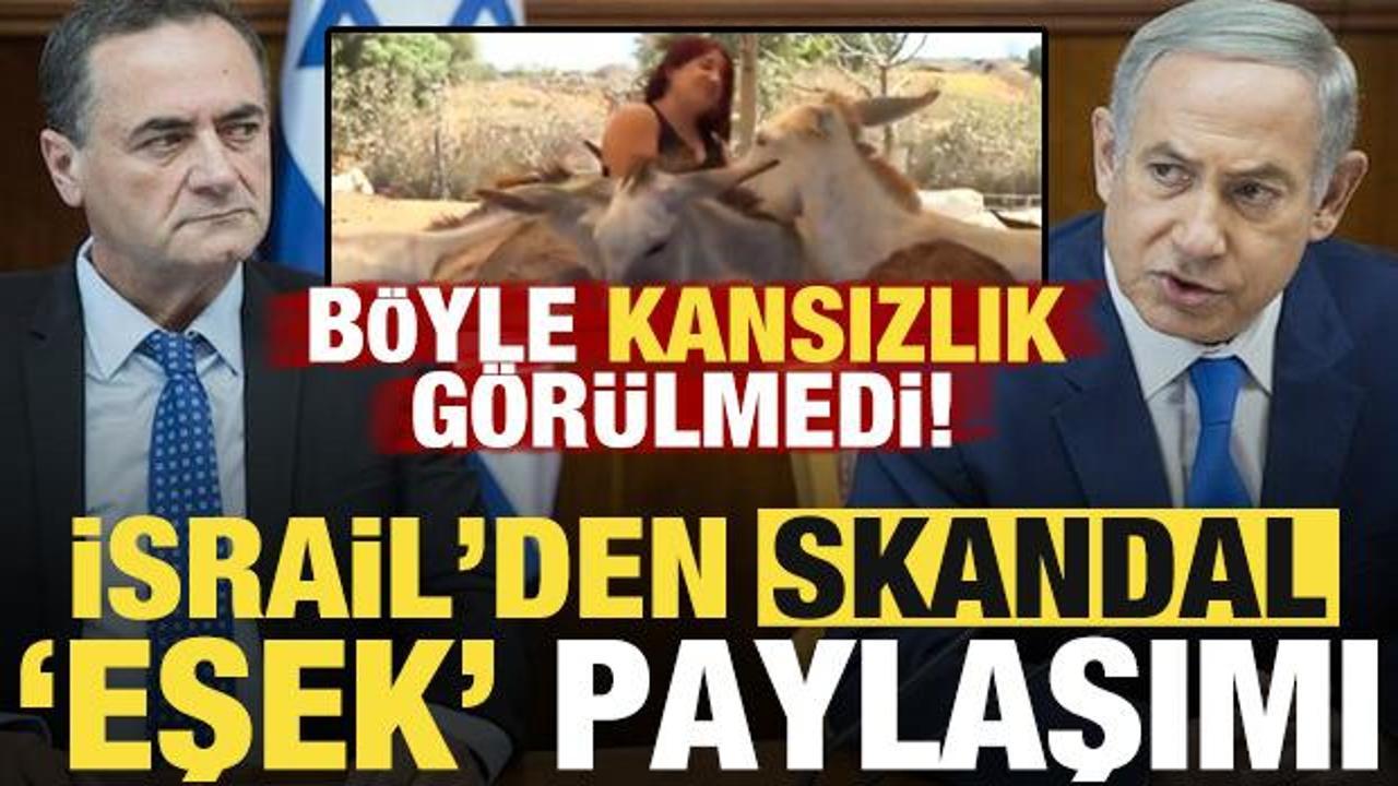 B&ouml;yle kansızlık g&ouml;r&uuml;lmedi! İsrail'den skandal 'eşek' paylaşımı!