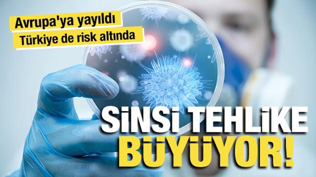 DSÖ'den Chikungunya uyarısı: 5,6 milyar kişi risk altında! Türkiye'de de görüldü