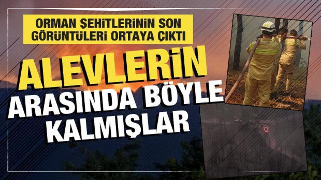Orman şehitlerinin son görüntüleri ortaya çıktı