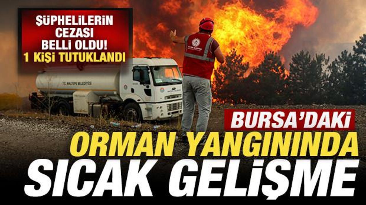 Bursa'da havai fişekle yangın çıkaranların cezası belli oldu! 1 kişi tutuklandı