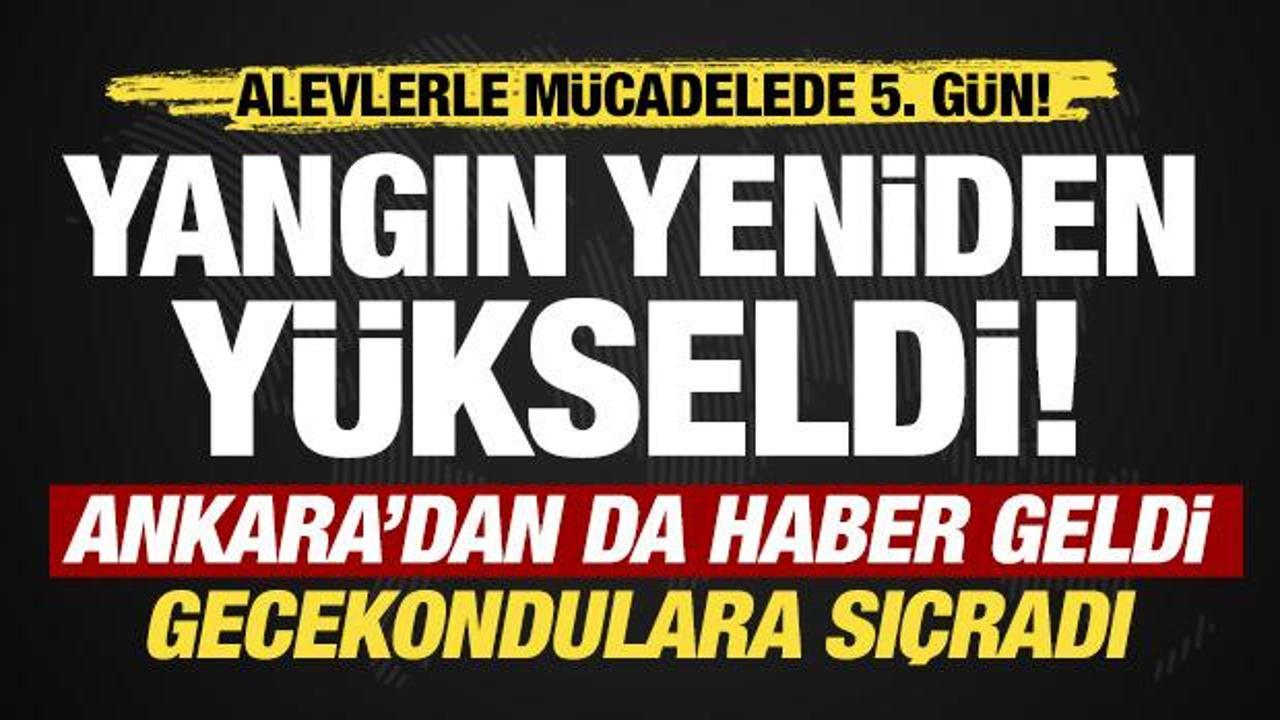 Bursa'da yangın 5. gününde! Alevler yeniden yükseldi, müdahale sürüyor!