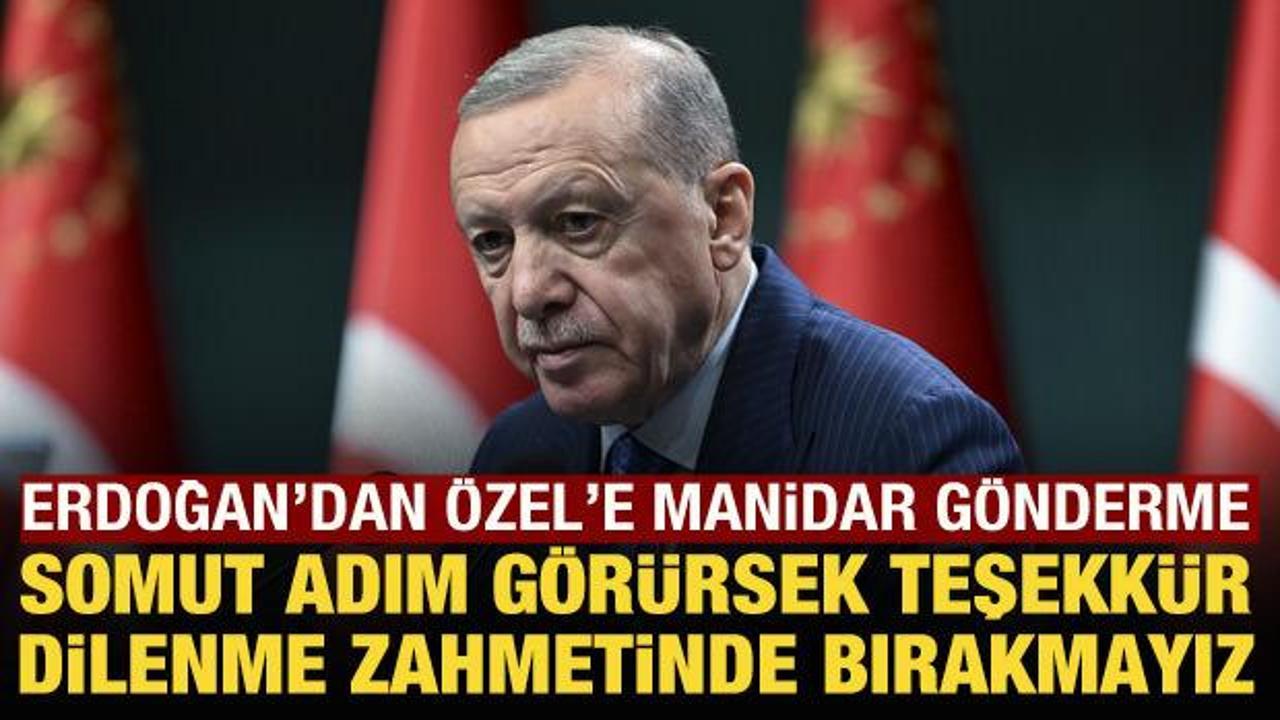 Cumhurbaşkanı Erdoğan'dan &Ouml;zg&uuml;r &Ouml;zel'e manidar g&ouml;nderme