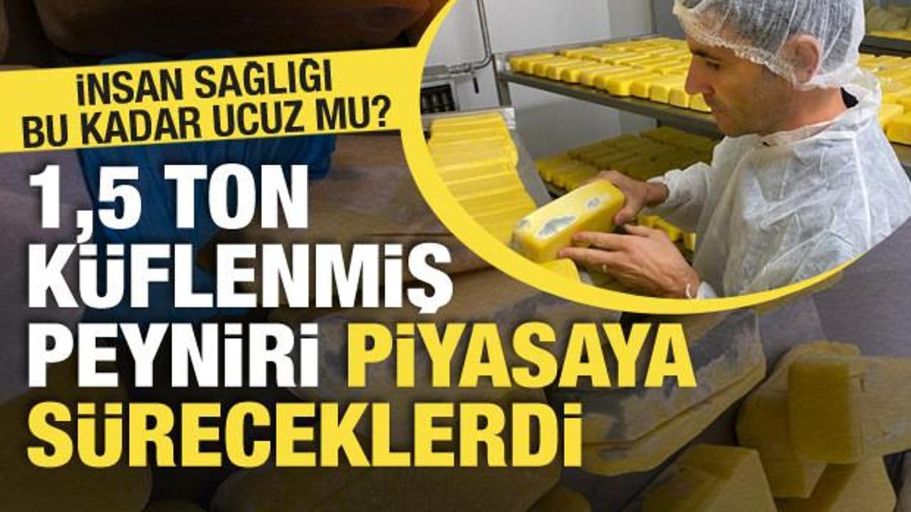 Sakarya’da gıda skandalı: Yüzlerce paket küflenmiş halde bulundu