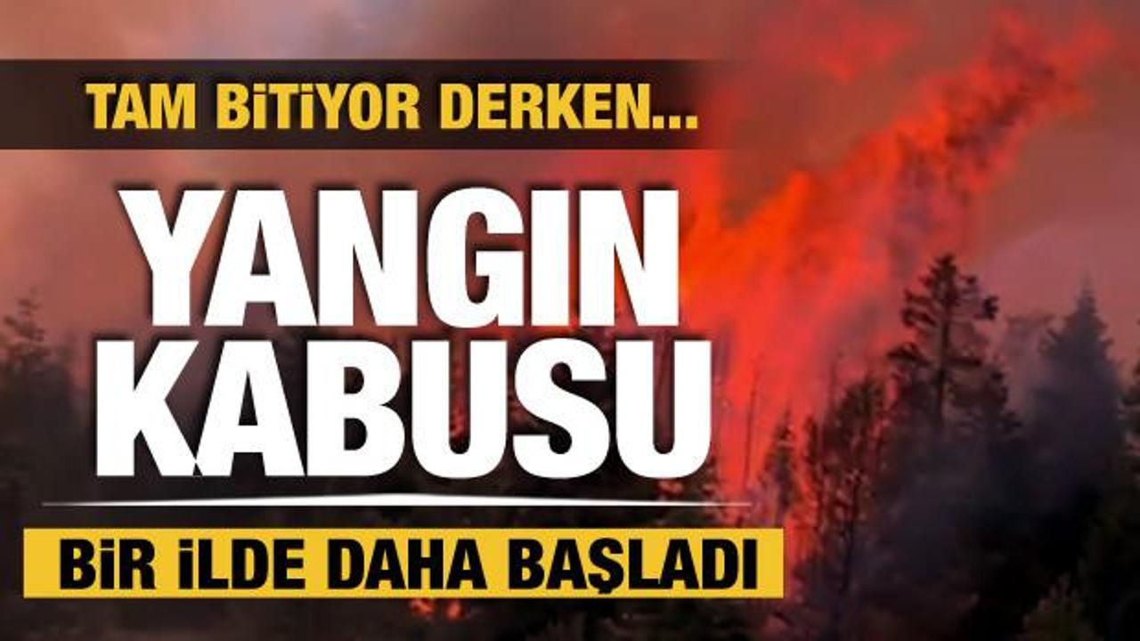 Yangınlarla mücadele sürüyor! Alevler bir ili daha sardı