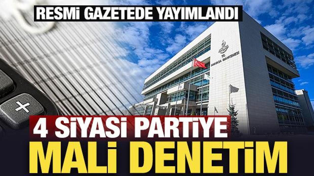 4 siyasi partiye mali denetim