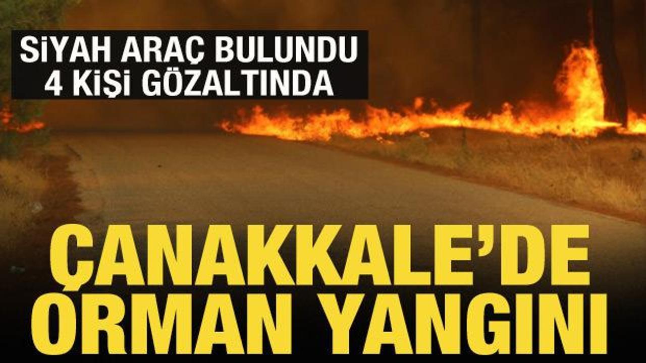 Sevindiren haber! Çanakkale'de orman yangınları kontrol altına alındı