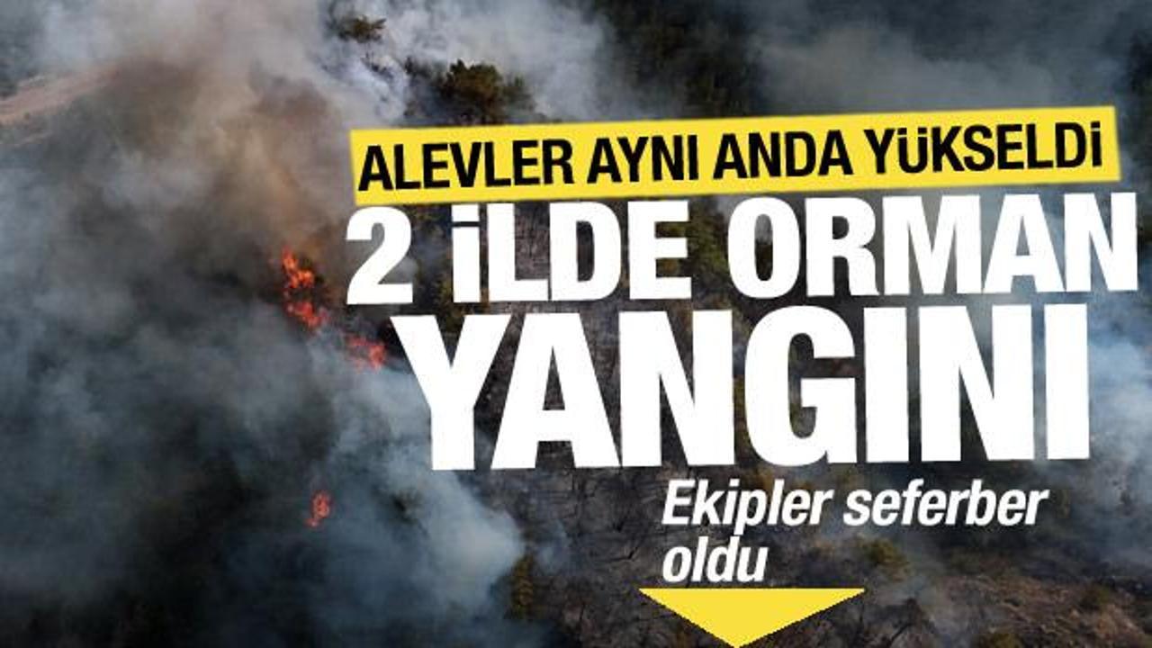 Karabük ve Denizli'de aynı anda orman yangını! Ekipler sevk edildi