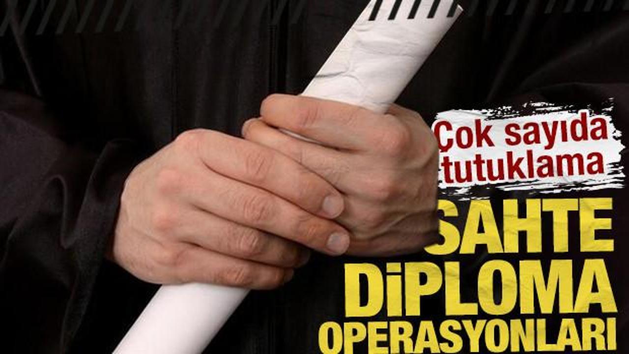 Sahte diploma ve ehliyet çetesine darbe: 197 gözaltı, 37 tutuklama