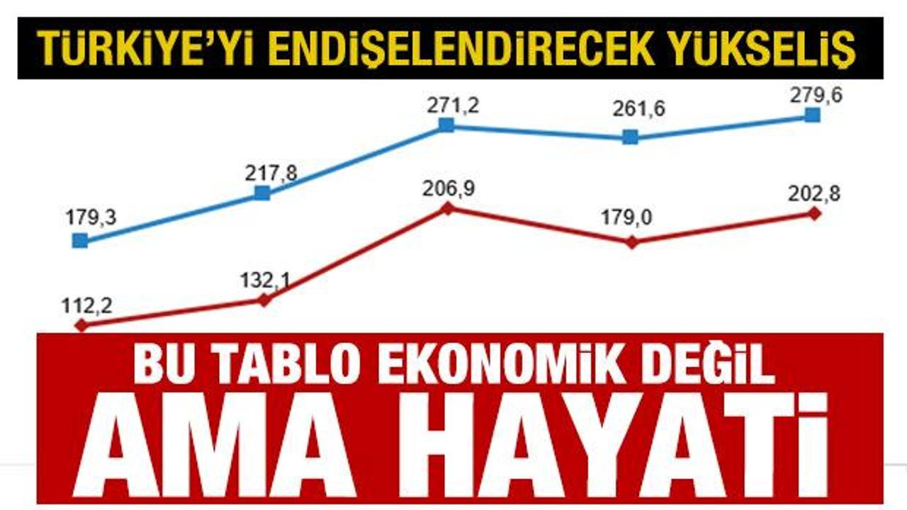 T&uuml;rkiye'yi korkutan y&uuml;kseliş! Bu tablo ekonomik değil ama 'hayati'