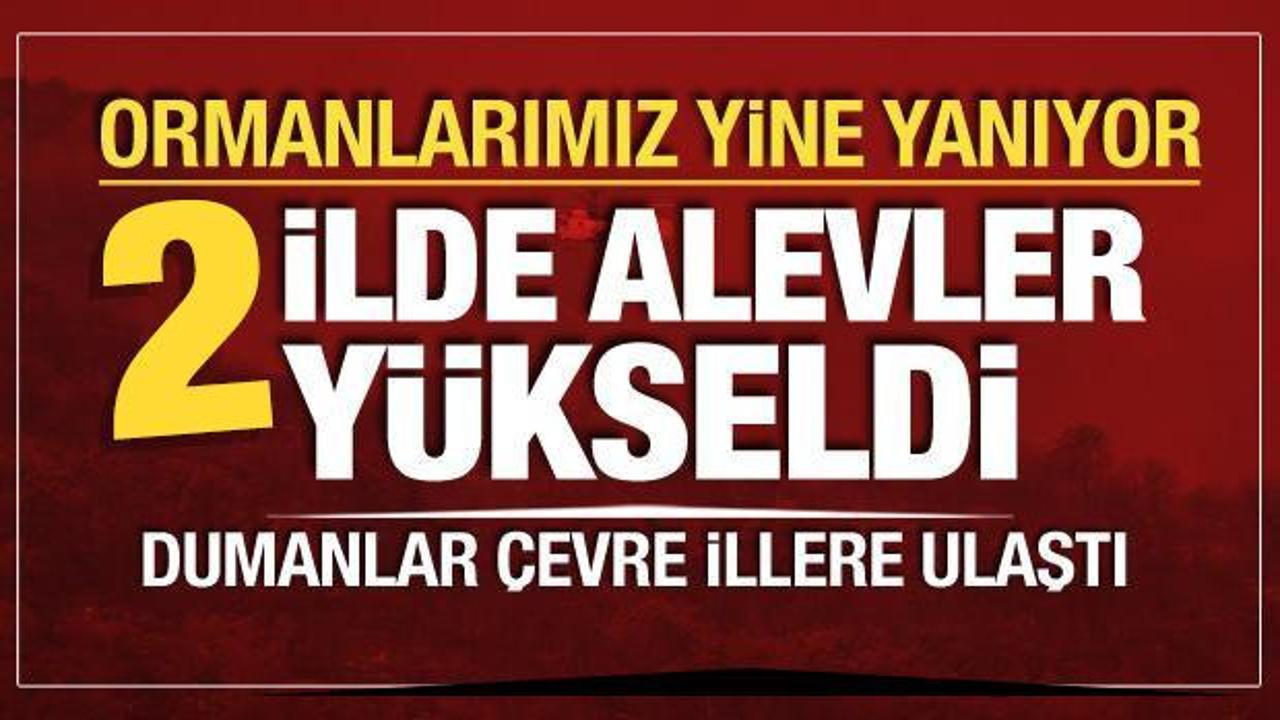 2 ilde orman yangını! Rüzgarın etkisiyle alevler büyüyor