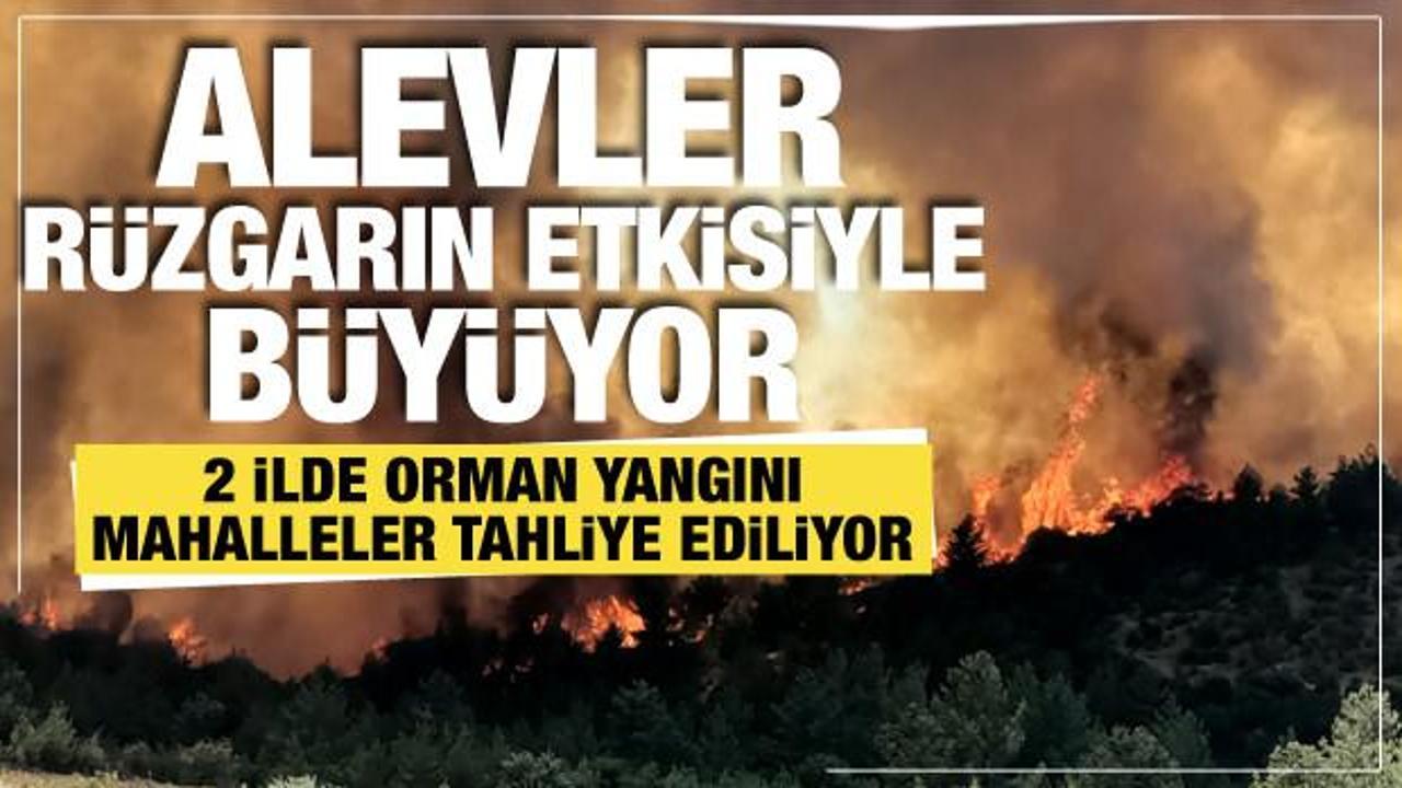 Çanakkale ve Mersin'de orman yangını! 3 mahalle tahliye edildi