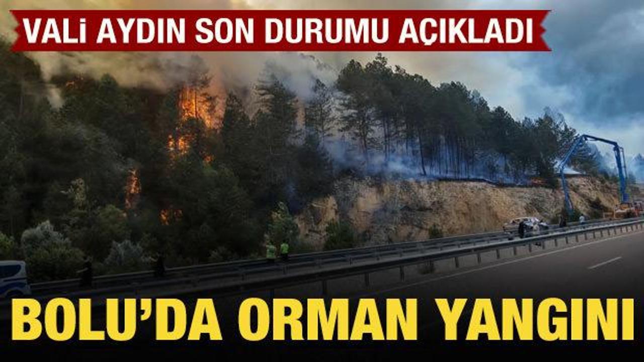 Bolu'da orman yangını kısmen kontrol altına alındı