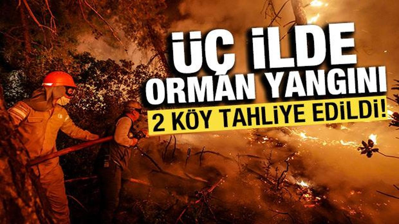 Çanakkale, Malatya ve Muğla'da orman yangını!