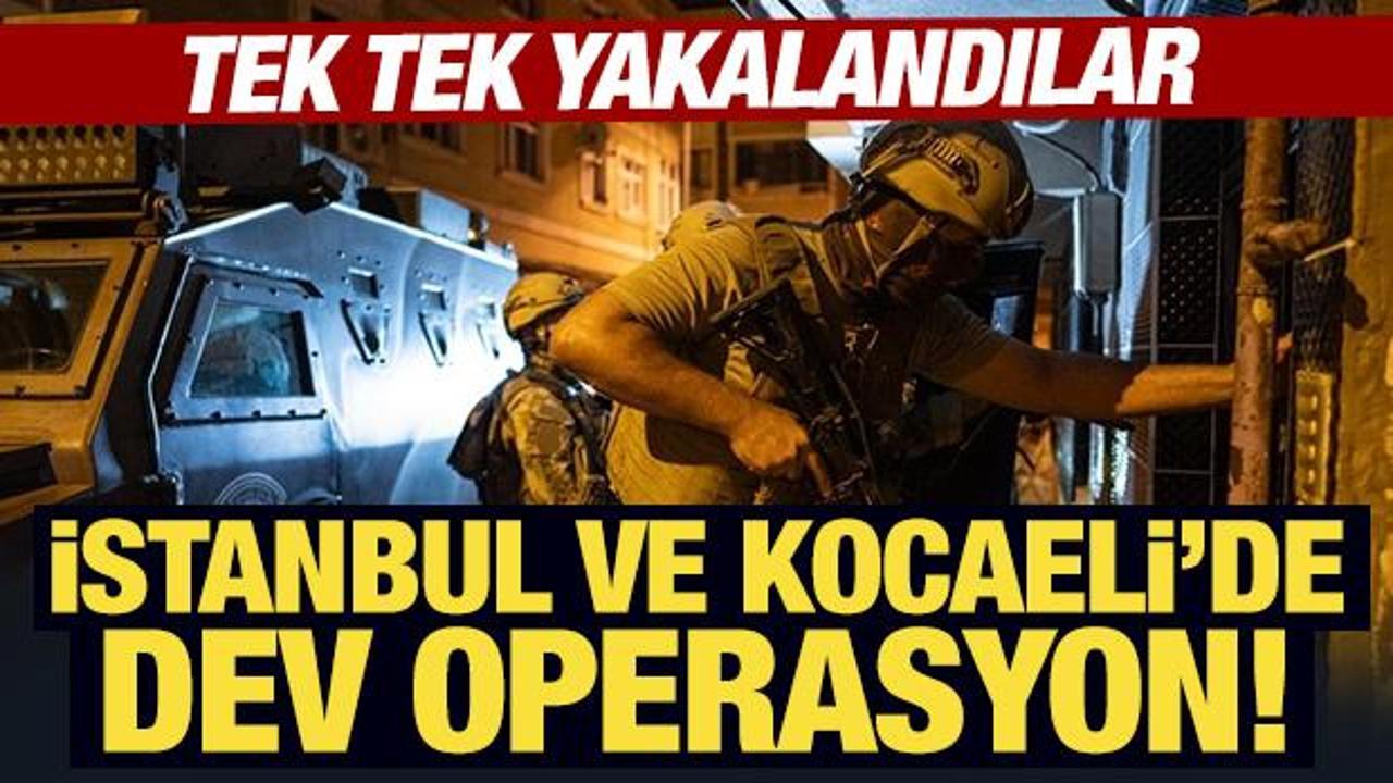 İstanbul ve Kocaeli'de dev operasyon! Tek tek yakalandılar