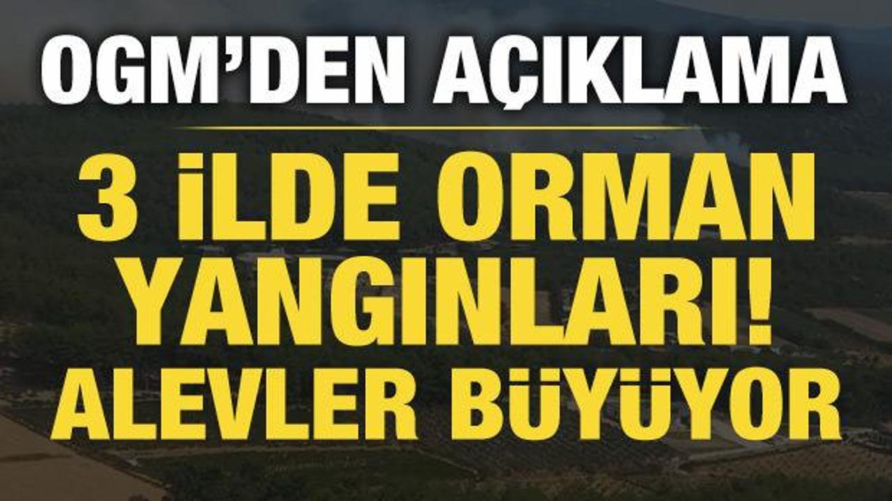 İzmir ve &Ccedil;anakkale'de orman yangınları