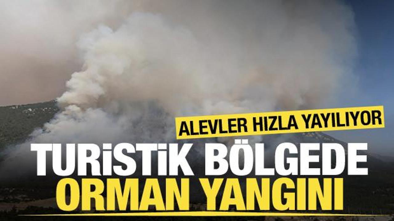 Pamukkale'de orman yangını! Alevler hızla yayılıyor