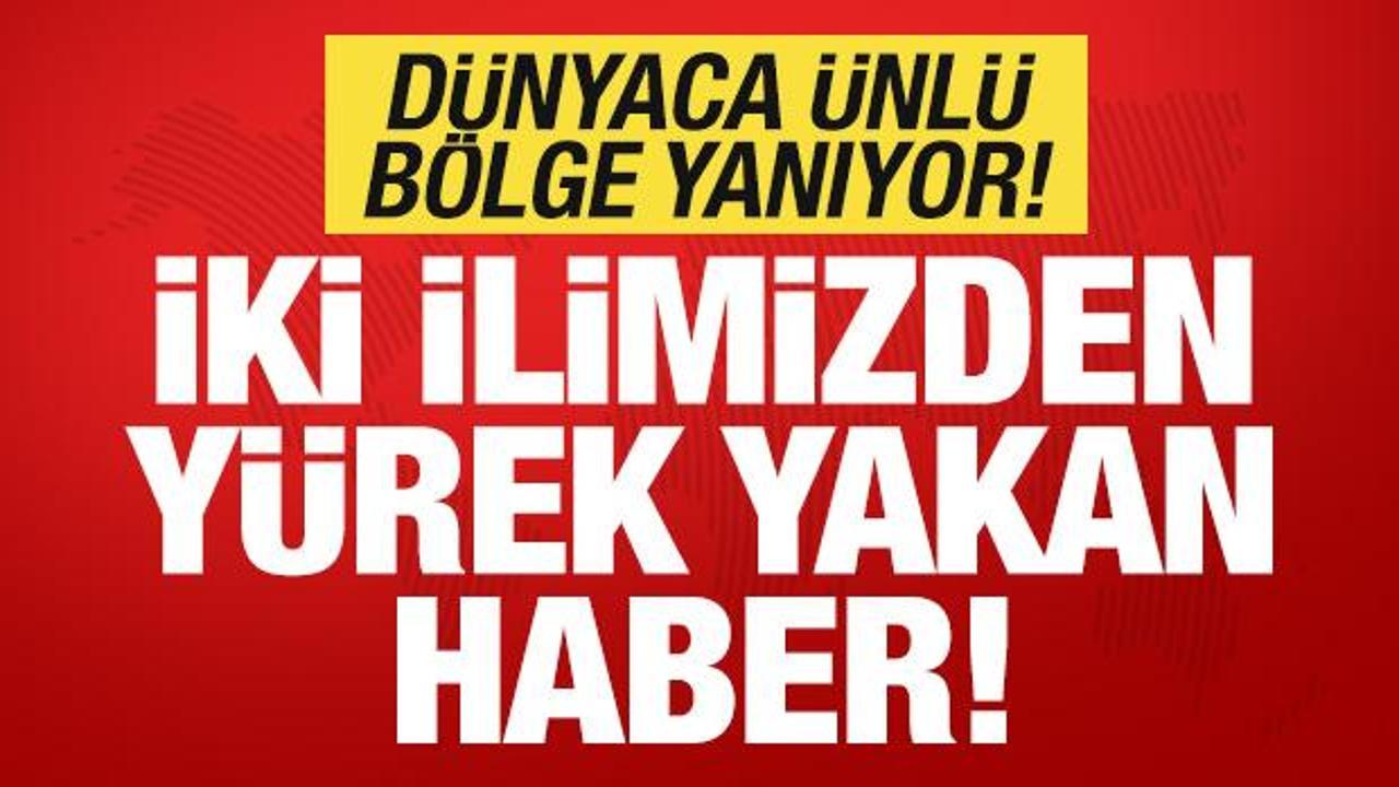 Son dakika: İki ilimizden y&uuml;rek yakan haber! D&uuml;nyaca &uuml;nl&uuml; b&ouml;lgede g&ouml;r&uuml;nt&uuml;ler