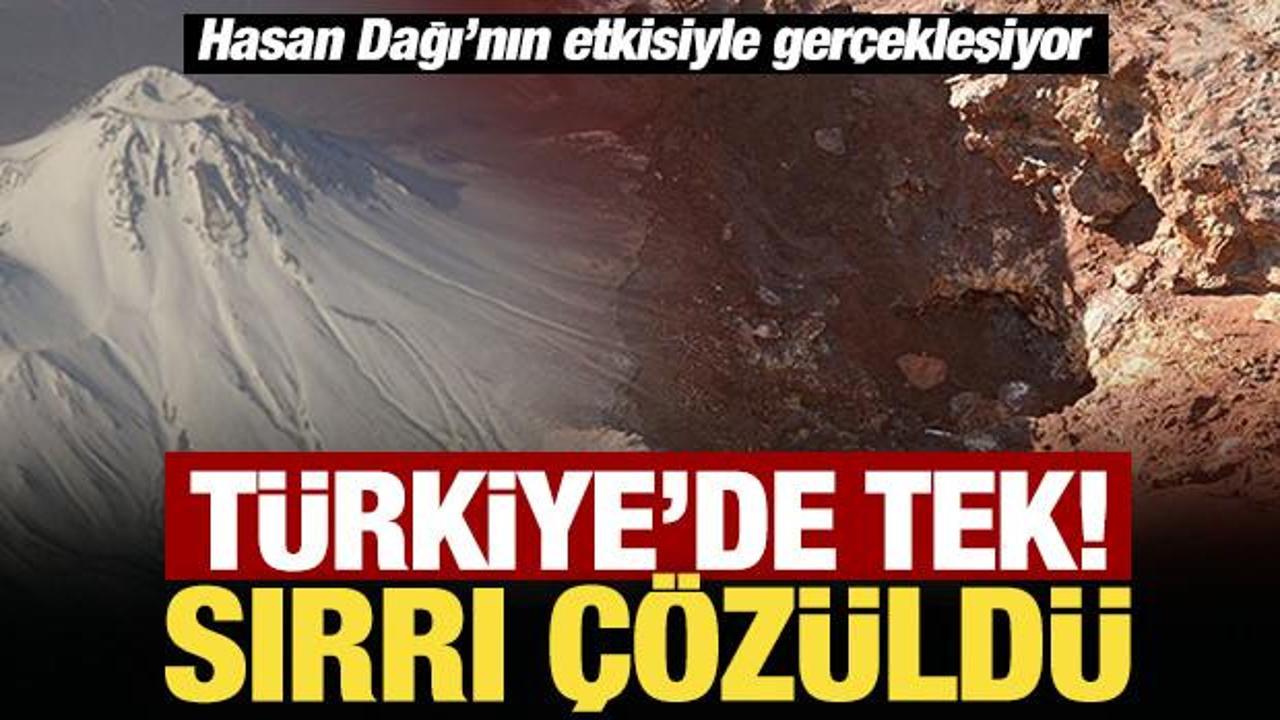 T&uuml;rkiye'de tek! Sırrı &ccedil;&ouml;z&uuml;ld&uuml;