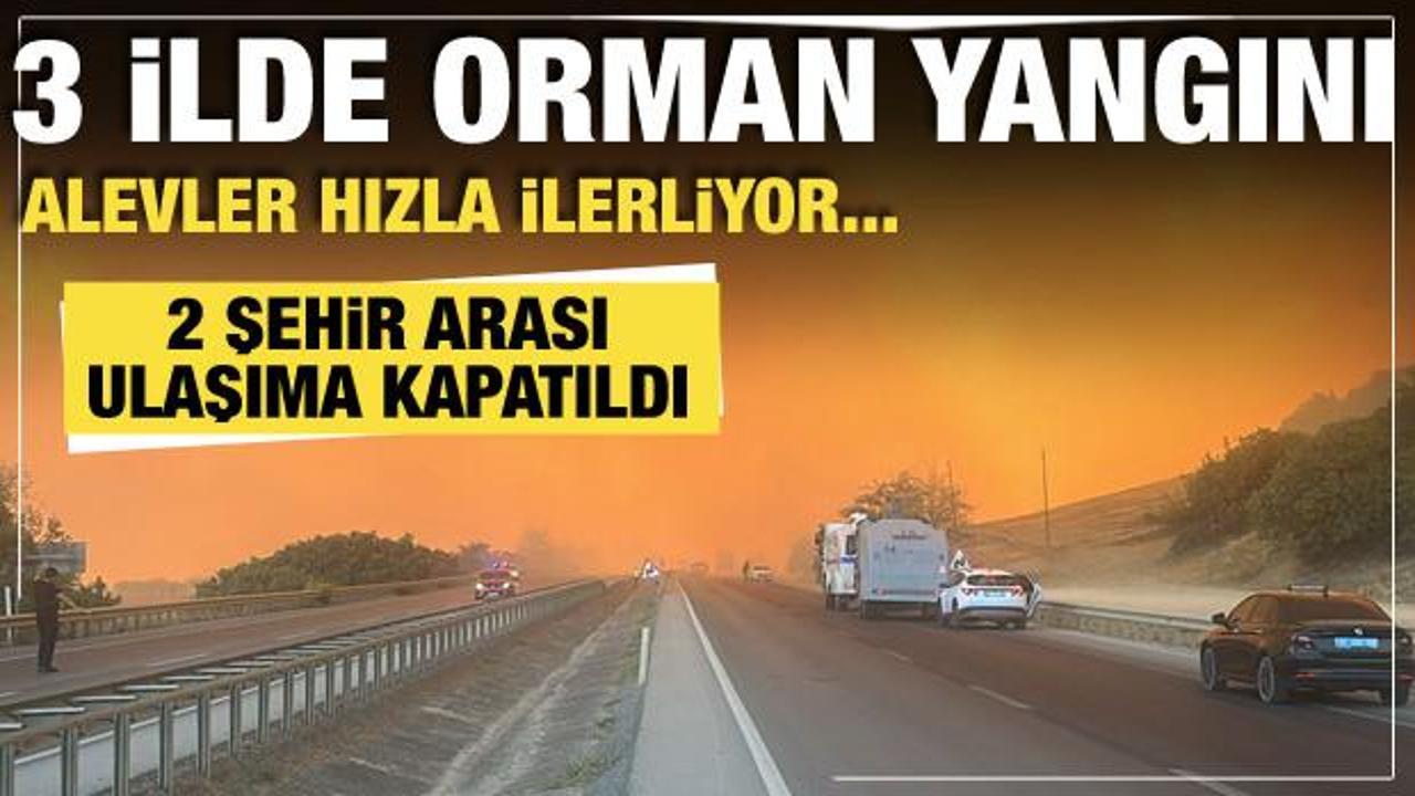 Bursa, Çanakkale, Hatay... 3 ilde orman yangını! Havadan ve karadan ekipler sevk edildi