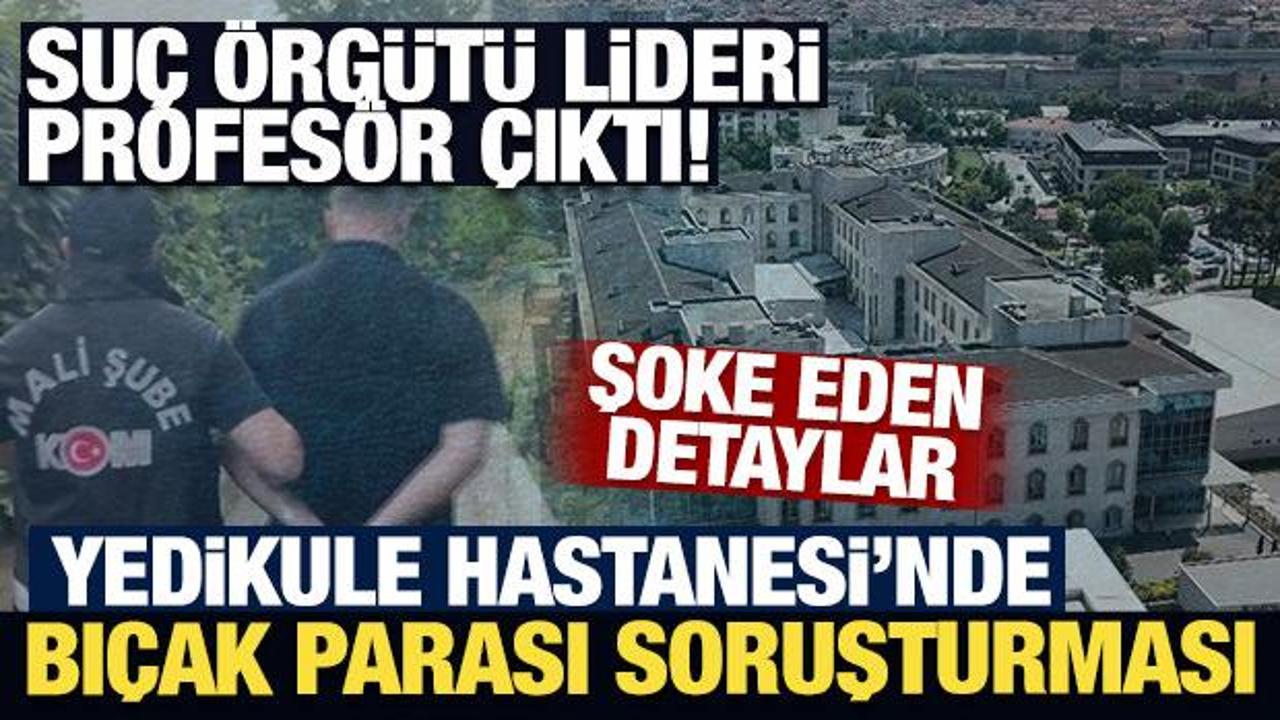 Suç örgütü lideri profesör çıktı! Yedikule Hastanesi'nde bıçak parası soruşturması