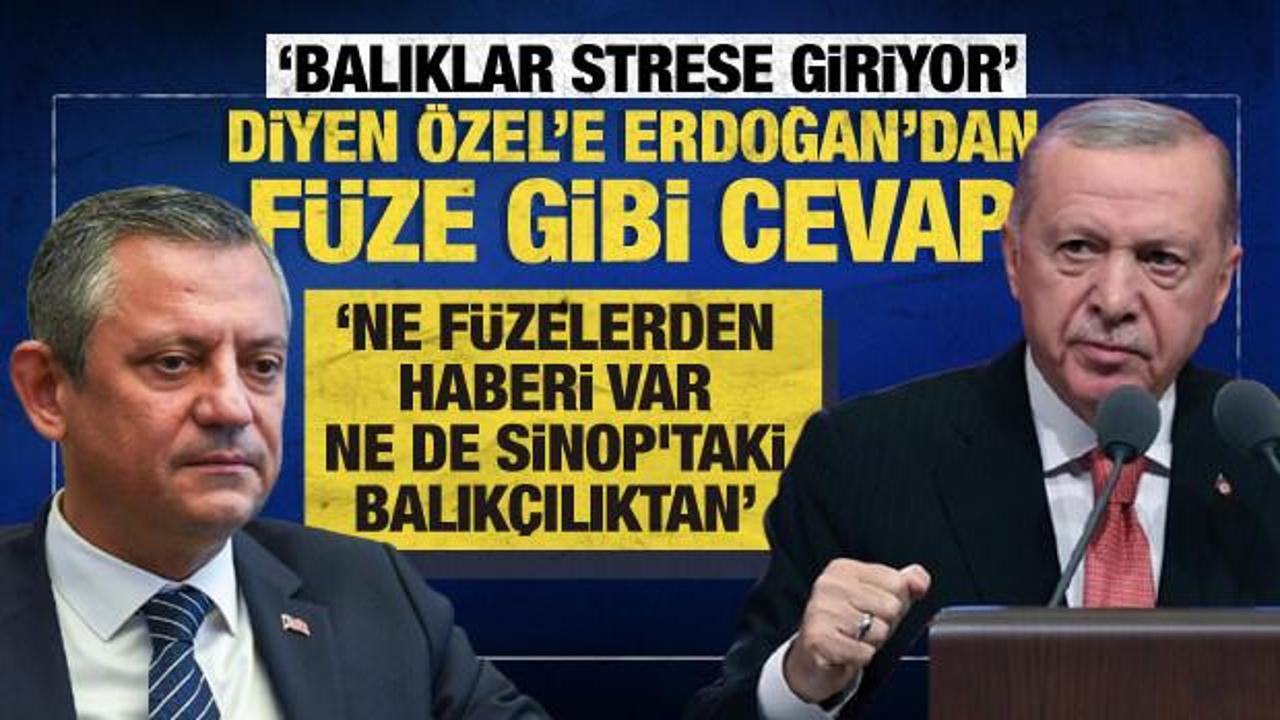 Cumhurbaşkanı Erdoğan'dan &Ouml;zg&uuml;r &Ouml;zel'e f&uuml;ze testi cevabı!