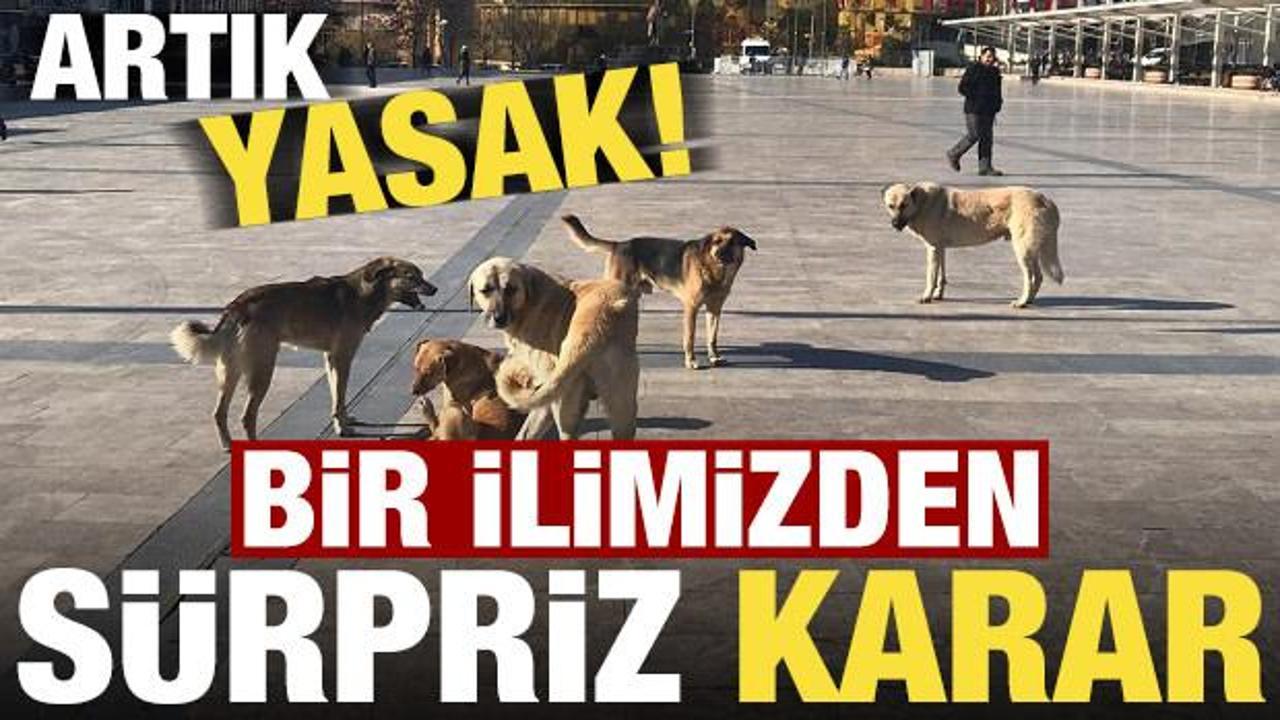 Son dakika: Afyonkarahisar Valiliği'nden dikkat çeken karar! Artık yasak...