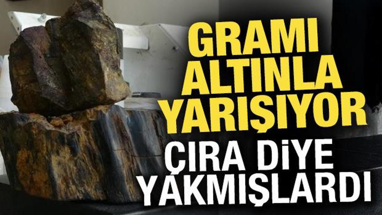 Gramı altınla yarışıyor! Tek tek se&ccedil;erek topraktan &ccedil;ıkarılıyor: Doğada anlaşılması &ccedil;ok zor