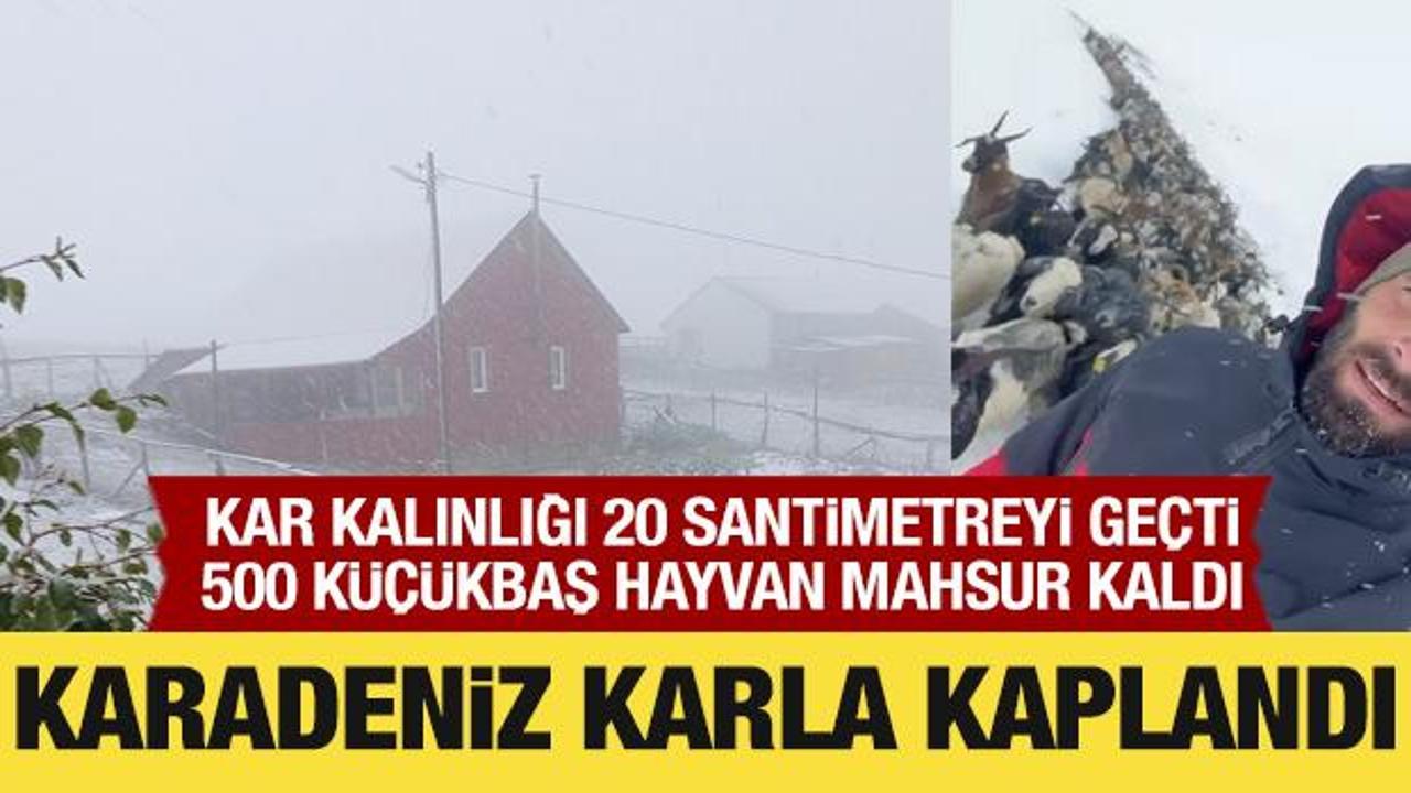 Karadeniz karla kaplandı: Hayvanlar mahsur kaldı