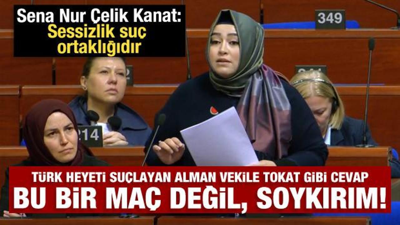 T&uuml;rk heyetini su&ccedil;lamaya kalkan Alman vekile tokat gibi cevap: Bu bir ma&ccedil; değil, soykırım