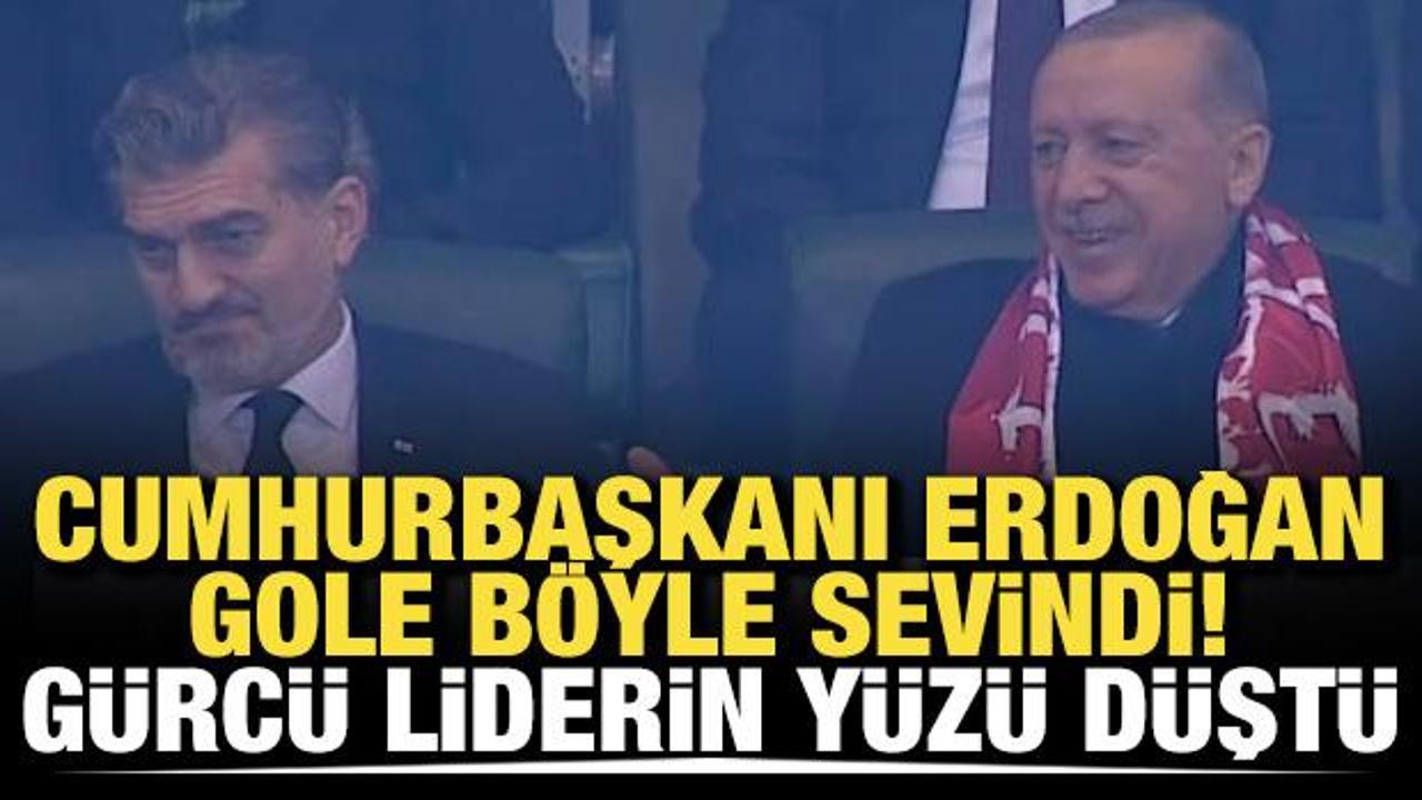 Başkan Erdoğan gole böyle sevindi! Gürcü liderin yüzü düştü