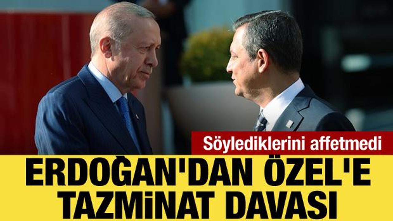 Cumhurbaşkanı Erdoğan'dan &Ouml;zg&uuml;r &Ouml;zel'e 500 bin TL'lik tazminat davası