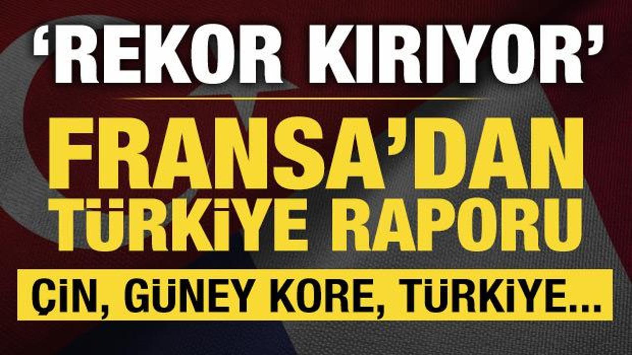 Fransa&rsquo;dan T&uuml;rkiye hakkında dikkat &ccedil;eken rapor