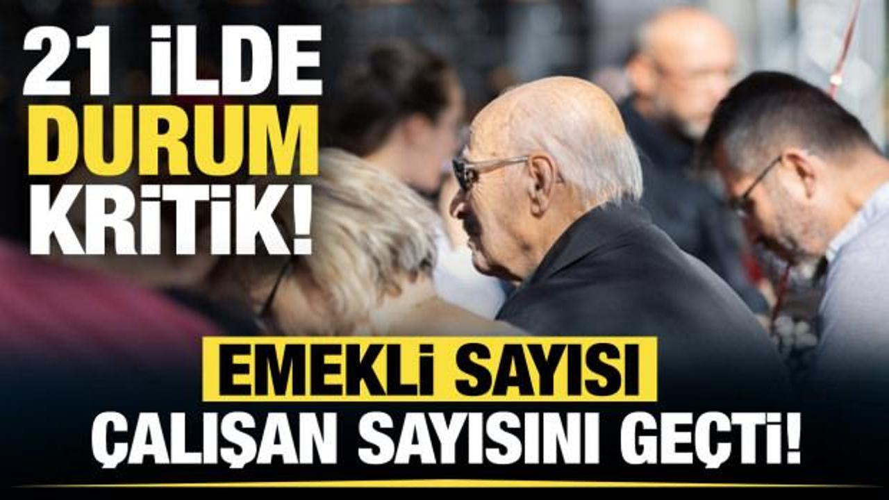 D&uuml;ş&uuml;nd&uuml;ren tablo: Emekli sayısı, 21 ilde &ccedil;alışan sayısını ge&ccedil;ti!