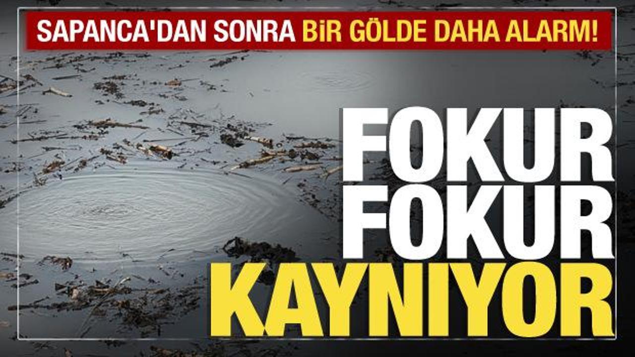 Sapanca&rsquo;nın ardından Efteni G&ouml;l&uuml;&rsquo;nde de gizemli fokurtu