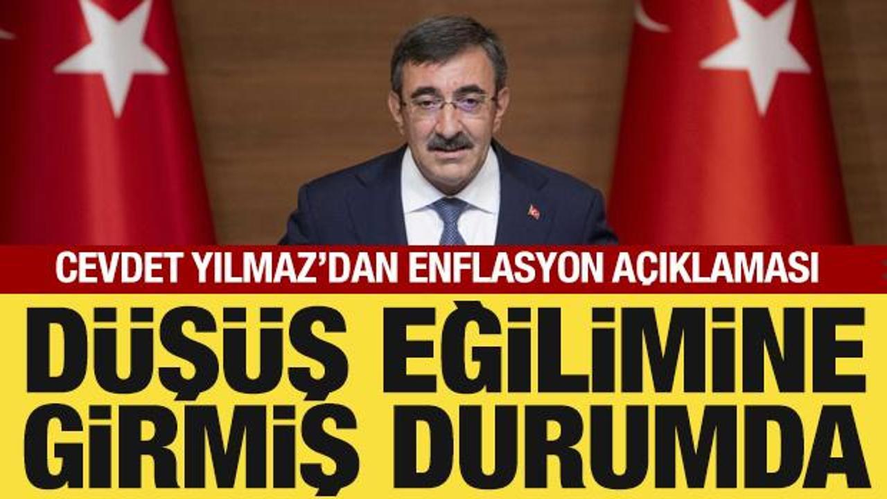 Cevdet Yılmaz'dan enflasyon açıklaması