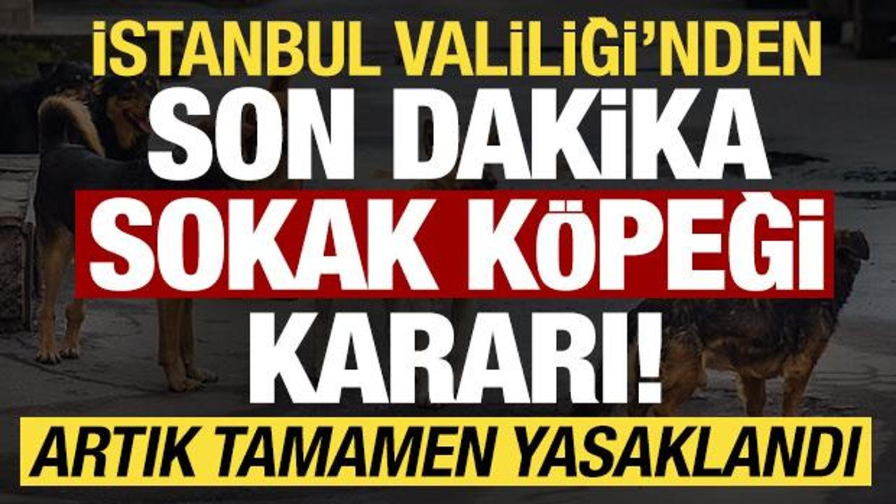 İstanbul Valiliği'nden son dakika 'sokak k&ouml;peği' kararı! Artık yasaklandı...