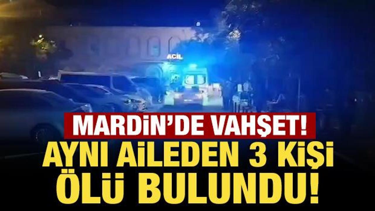 Mardin'de vahşet! Aynı aileden 3 kişi &ouml;l&uuml; bulundu!