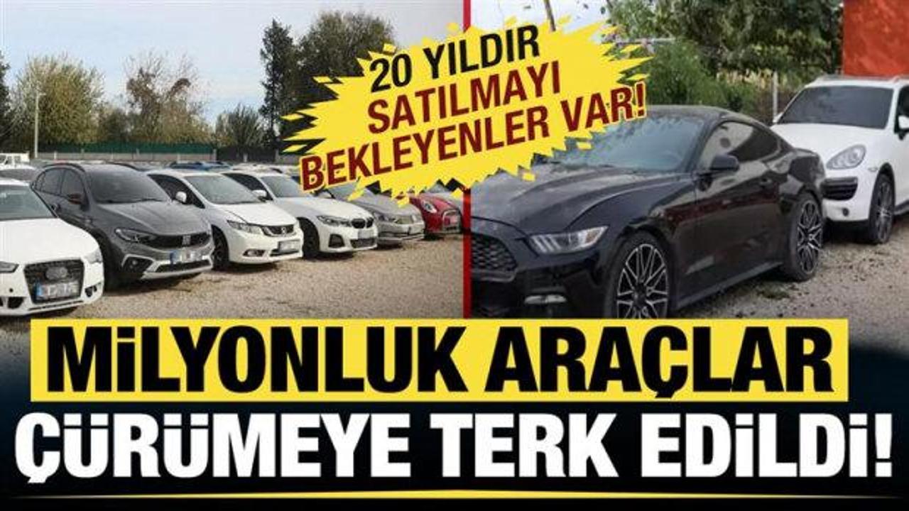 Milyonluk ara&ccedil;lar &ccedil;&uuml;r&uuml;meye terk edildi! 20 yıldır satılmayı bekleyenler var