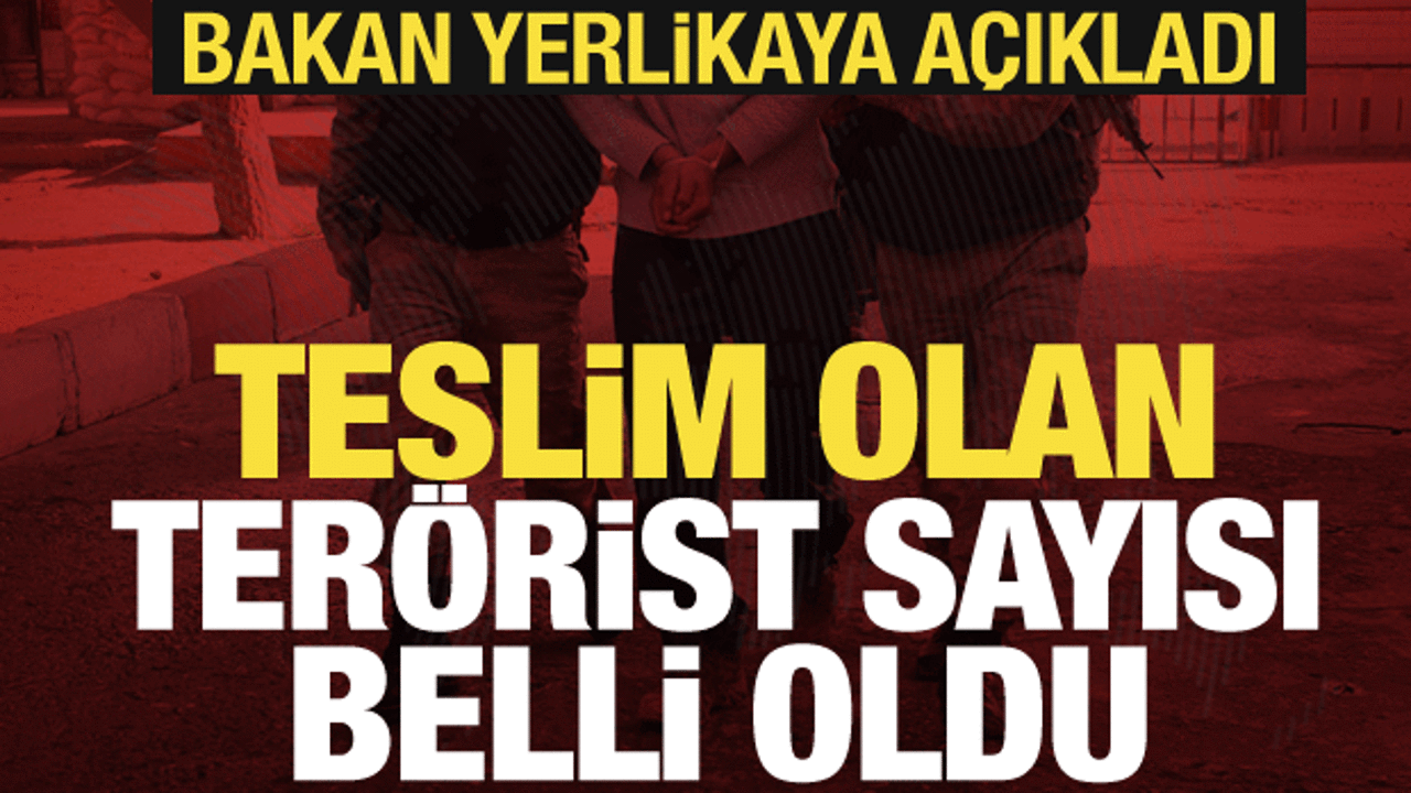 Bakan Yerlikaya duyurdu: 2025 yılında 103 terör örgütü mensubu teslim oldu