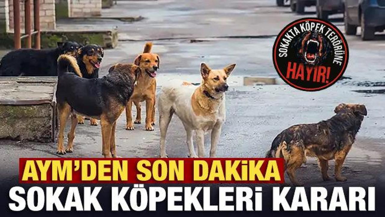 CHP'nin sokak k&ouml;peklerine y&ouml;nelik yasayı iptal başvurusuna AYM'den son dakika kararı