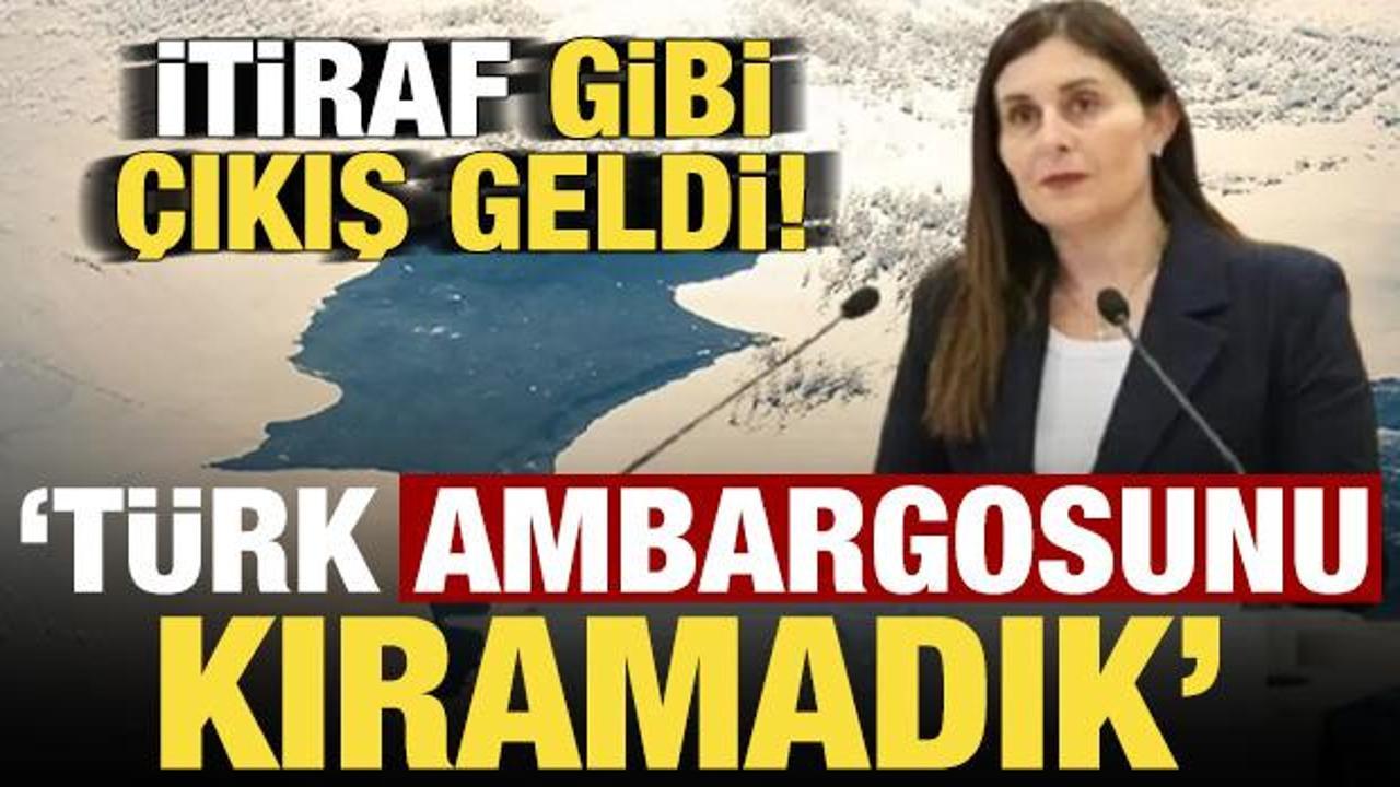 İtiraf gibi &ccedil;ıkış: T&uuml;rk ambargosunu kıramadık!