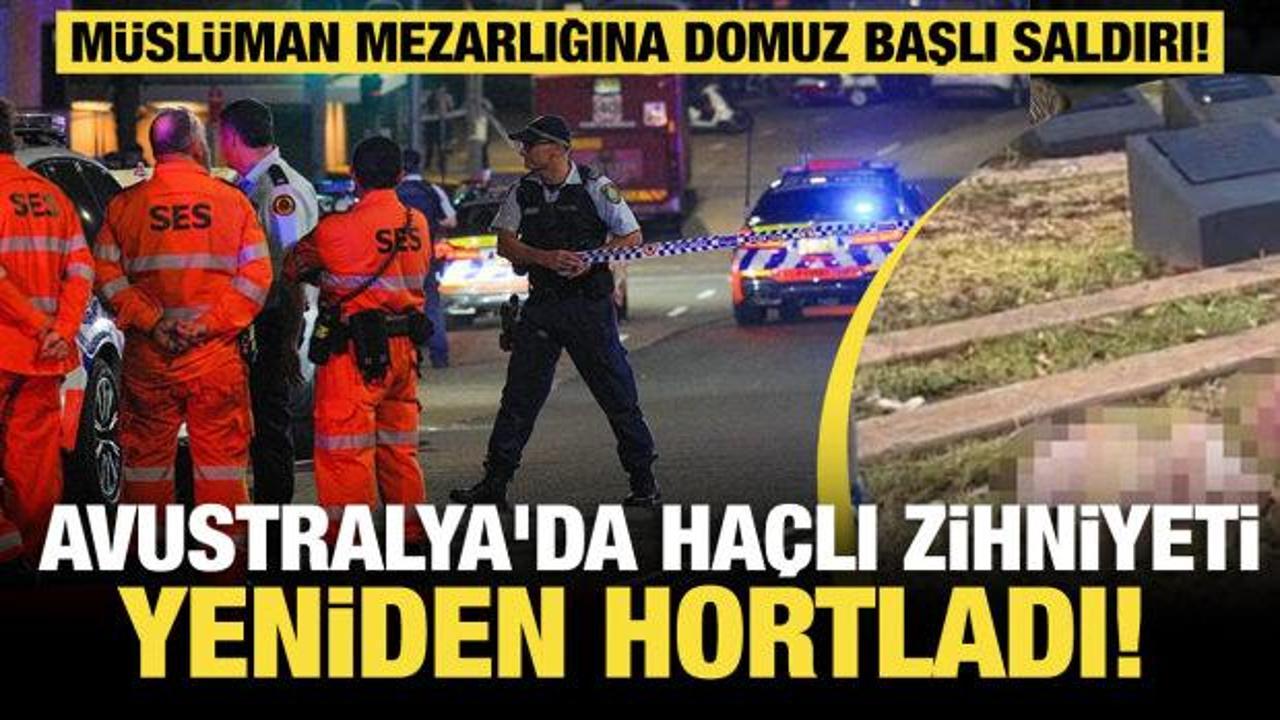 Avustralya'da Ha&ccedil;lı zihniyeti yine hortladı! M&uuml;sl&uuml;man mezarlığına domuz başlı saldırı!