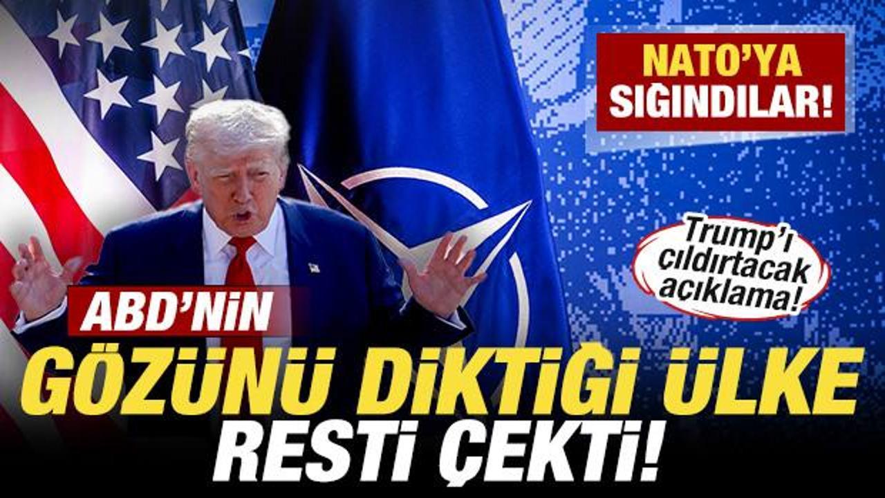 ABD'nin g&ouml;z diktiği &uuml;lke resti &ccedil;ekti! Trump'ı &ccedil;ıldırtacak a&ccedil;ıklama! NATO'ya sığındılar