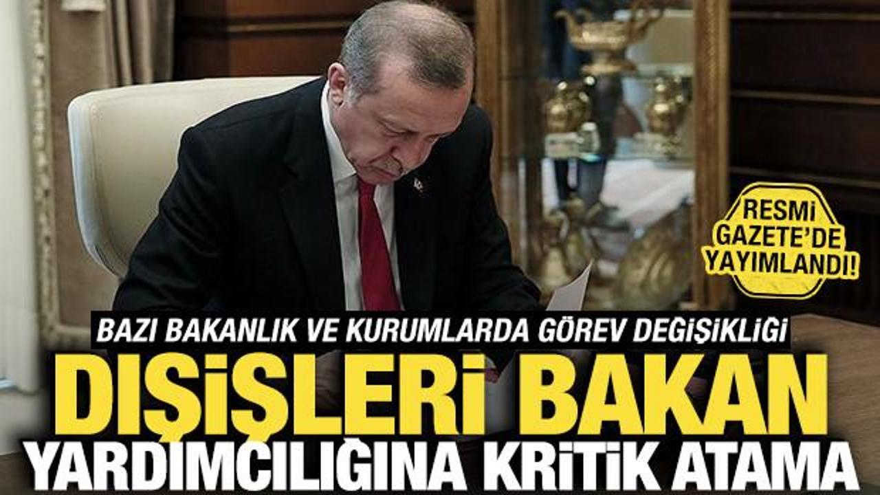 Resmi Gazete'de yayımlandı! Hacı Ali &Ouml;zel, Dışişleri Bakan yardımcılığına atandı