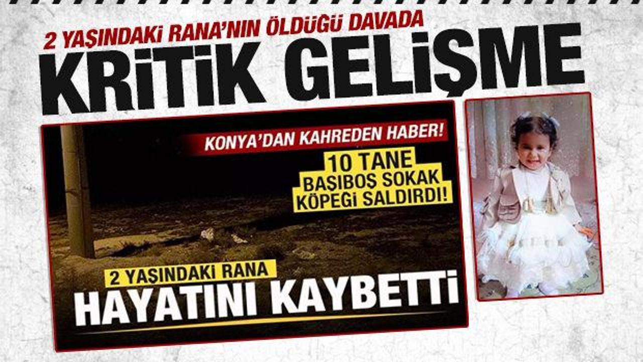 K&ouml;pek saldırısında &ouml;len minik Rana davasında iki m&uuml;d&uuml;re soruşturma izni